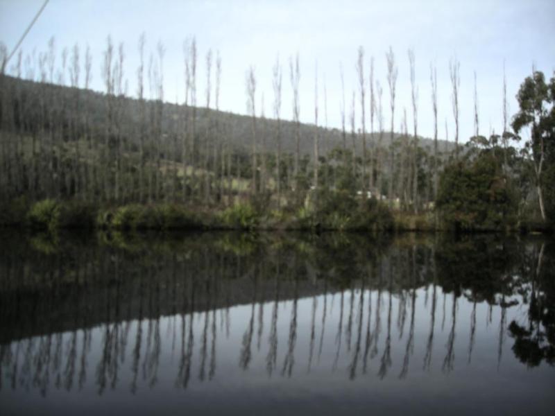 Port Huon Cottages 외부 사진